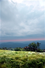 Roan Mountain Jane Bald
