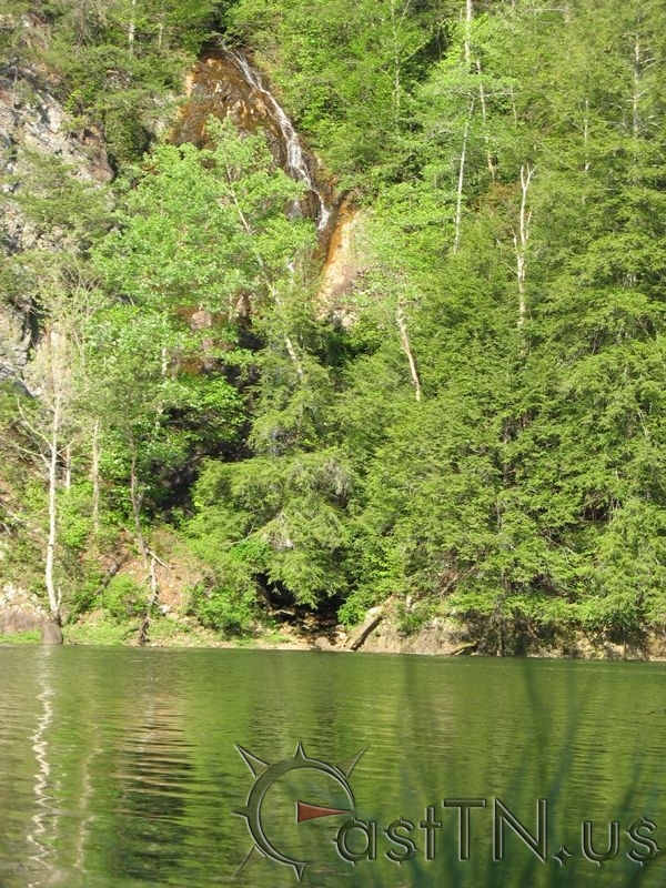 Little Laurel Branch Falls