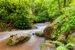 Rocky Fork