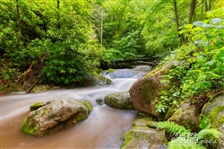 Rocky Fork
