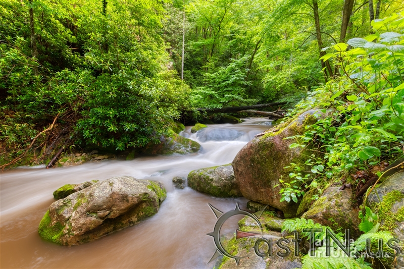 Rocky Fork