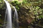 Grotto Falls
