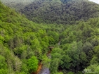 Doe River Gorge