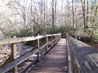 Laurel Fork Falls