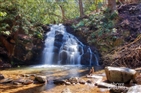 Martin Creek Falls