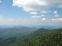 Roan Mountain High Bluff